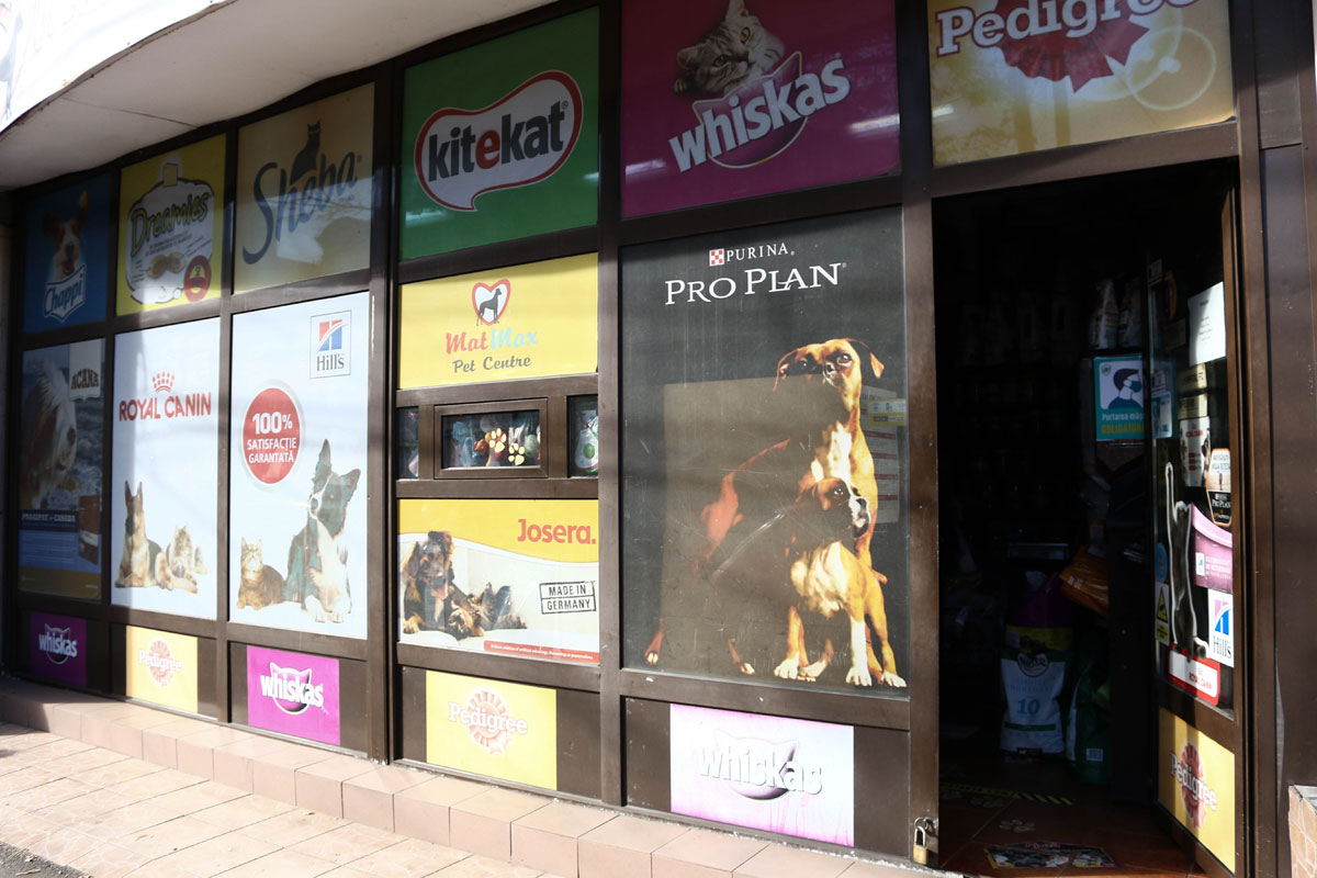 De ce sa cumparam de la un pet shop local, si nu online?